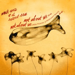 Amit Erez - Not About Us (NDV Picking A Frequency Remix)