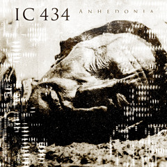 IC 434 - Anhedonia (album teaser)