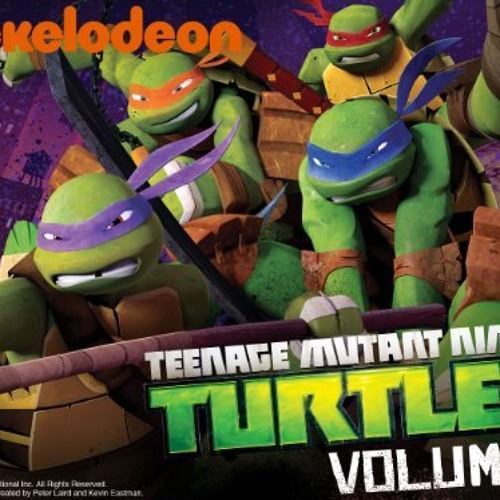 ninja turtle song