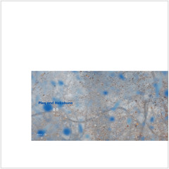 0.2 - Pleq and Hakobune [from 0.0/Pleq and Hakobune, MMR-16]