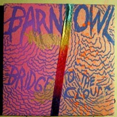 Barn Owl - Awakening