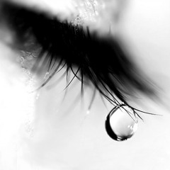 Teardrop