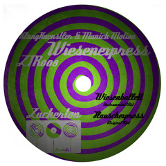 KlangKuenstler & Munich Motion - Flauschexpress (Original Mix)