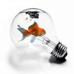 Idée2rythme binaire