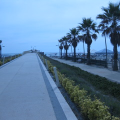 iuli.new