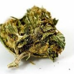 Ma petite entreprise (Bern Li et S-Tee pour "l'âme de fond")