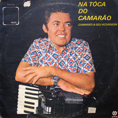 forró de vitrola