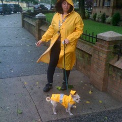 Dahlia Ross - Dahlia and the Llamas - Live @ Continental - 07 - Shelter from the Storm (B. Dylan)