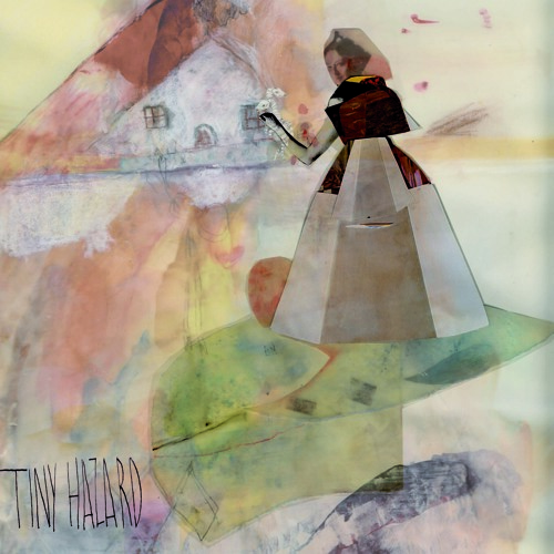 Tiny Hazard - In a Little House