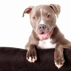 Friday Sampler | Part 17