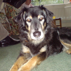 Bens Song - Through The Strip