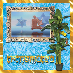 Motivational Holography / Earthplane Frequency Hub (Album Preview)