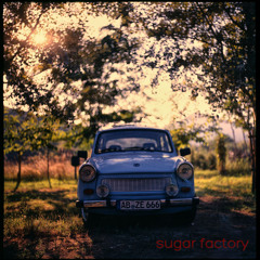 Surfing Seagull (EP/Digital Release)