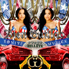 Fuete Billete - Bien guillao (SoniyeMuzick remix) [DL in description]
