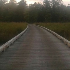 Sounds from Monday morning