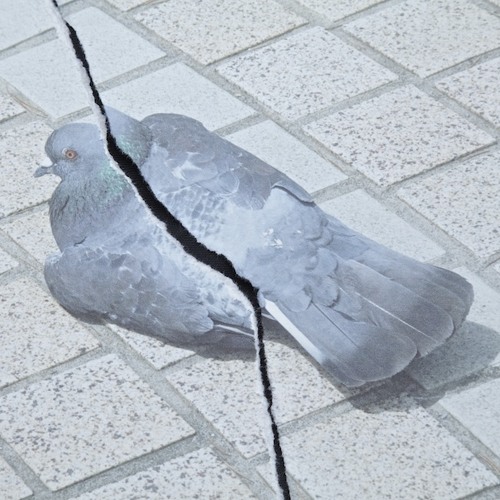 愛って暗いね、ナハトムジーク。