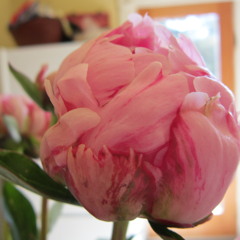 Nothing Can Change This Love (Sam Cooke cover)