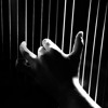 my-favourite-things-jazz-harp-experience
