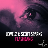 Jewelz & Scott Sparks vs. Martin Solveig - Hello Flashbang (Marcio Lama Bootleg)