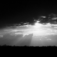 MENTAALF////SKYSKYSKY//////