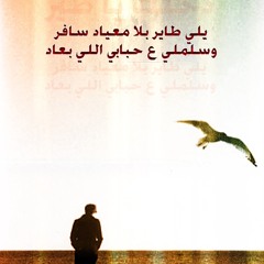 نشيد دخلك يا طير - احمد خالد