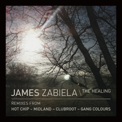 James Zabiela "Healing (Gang Colours Remix)"