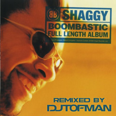 DJ Tofman feat. Shaggy - Big up (Remix)
