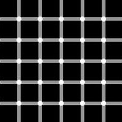 Matt Cookie - One Point One