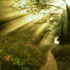 Love, first takes 😊💕 innocent takes, finally Teleharmonium: Love, Invisible Clocks🐰🎶