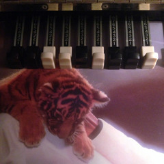 Hammond Nature (MJ Cover)