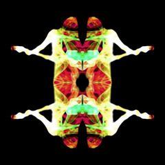 The Walking Who - Have You Seen The Colours?