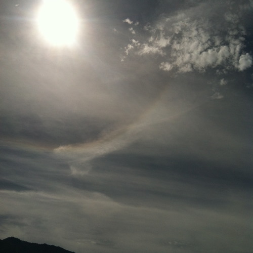 No One Knows (Prod by Bobby Lo, Feat:Dolphinbrain)