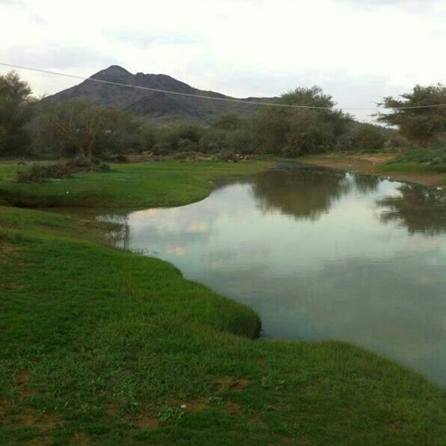 بارق الوسمِ | المقناص 5