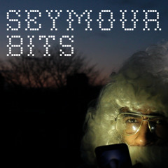 Seymour Bits - Christmas At the Bootybar (Mister Ries Juke Mix)