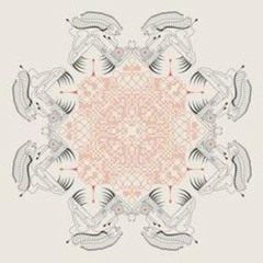 Tim Xavier - Sonic Duality (original mix)