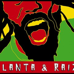 Planta & Raiz - Cante a Paz (ao vivo)