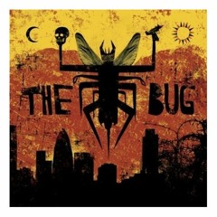 The Bug- Insane ft.Warrior Queen