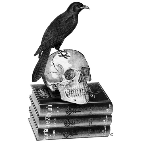 Drowning rats ( interlude )