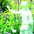 Artwork for WHERE ARE THE BLUE BELLS (IN THE GARDEN MIX)