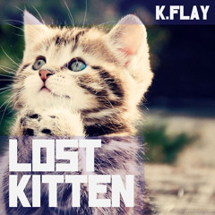 LOST KITTEN (metric cover)