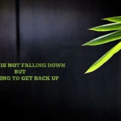 Jamin Dogg  - Lamentos