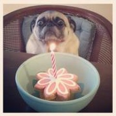 Von Herzen - Live@Freudenreich, 8.12.12