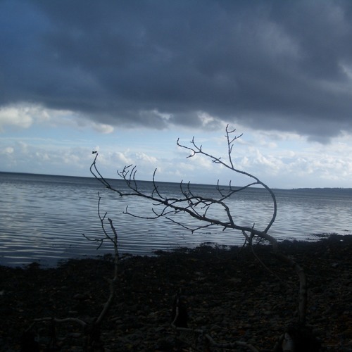 Modern Victim Mix by Danny Dynamic