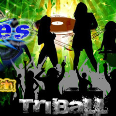 TRIBALL stylo DJ TORREMAN