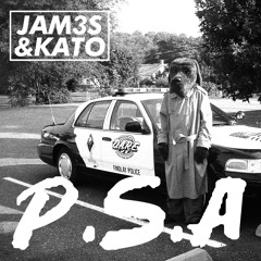 P.S.A (Original Mix)