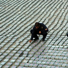 SNIFFING ON A BLIZZARD
