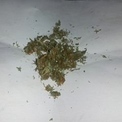 Travo Castro Ft KYX - Get A Check