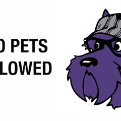 Katy Perry - Part Of Me (No Pets Allowed Dubstep Remix)