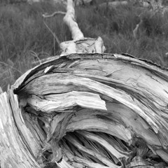 List of Shipwrecks in 1984