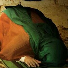 السيد محمد العدنان هل رايته الناصبي